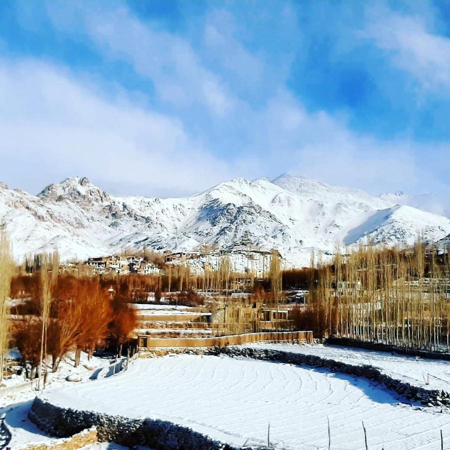 Ladakh Country Inn Leh Bagian luar foto